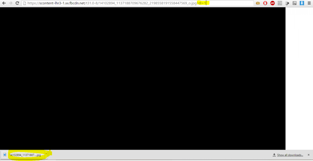 Adicionar dl=1 Fará com que a imagem seja baixada